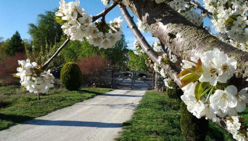 Casa Rural Torre Gargallo - Foto 5