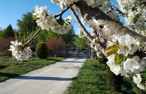Casa Rural Torre Gargallo - Foto 5