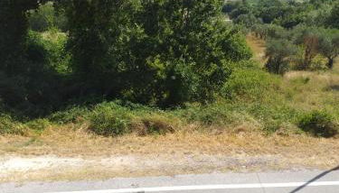 LUCIA HOME CASA VACANZE - Foto 3