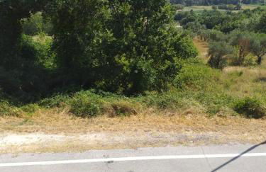 LUCIA HOME CASA VACANZE - Foto 3