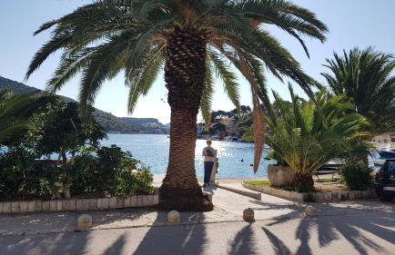 Maar Superior, Mali Zaton bay next to Dubrovnik, beautiul location & view - Photo 48