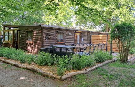 Ferienhaus Bucheneck perfekt für Familien & größere Gruppen im Seenland Lausitz - Foto 6