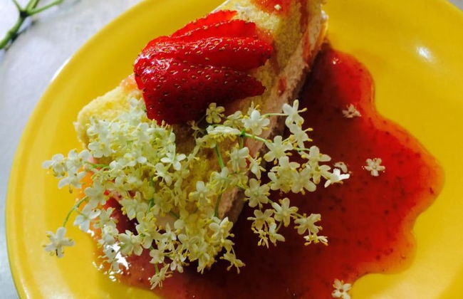 Bio Agriturismo Valle dei Calanchi - Foto 27