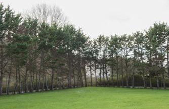 The Green House Villa (with private pool) Corfu - Photo 36