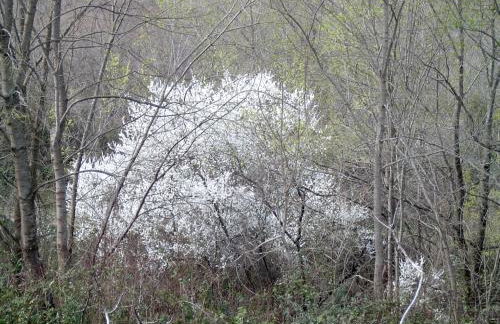 Agriturismo le Cammarose - Foto 22