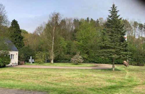 Burraton Cob - Foto 9