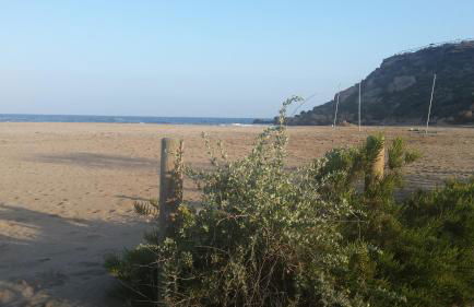 Vistarreal de Calarreona - Foto 23