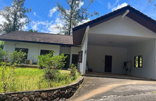 The Delight Pine Tree Village - Foto 10