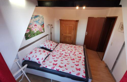 Lenzenhof anno 1720 I - Photo 9