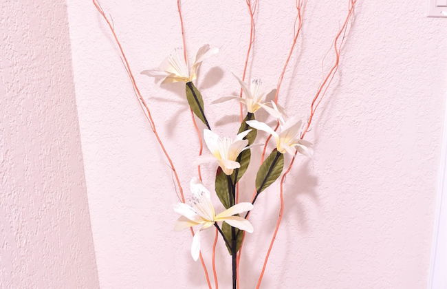 Executive Arcadia Luxury Guest Apartment - Photo 53