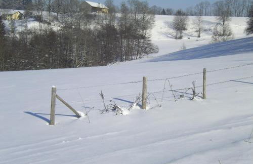 Ferienclub Maierhöfen - Foto 42