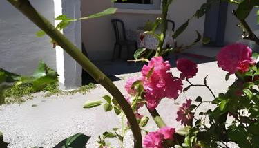 Le Cyclamens - Rodez-Onet - Photo 3