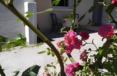 Le Cyclamens - Rodez-Onet - Photo 3