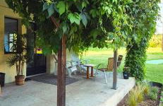 Ruime vakantie accommodatie in rustige, landelijke omgeving - Foto 7