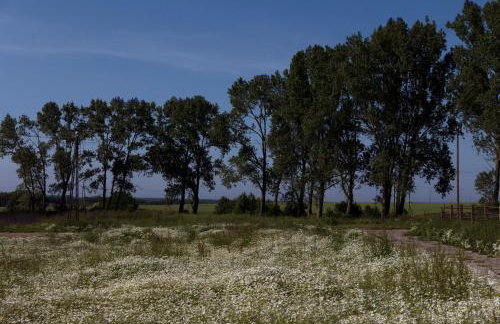 ŻAR - Dworek w Żarnowcu - Foto 46