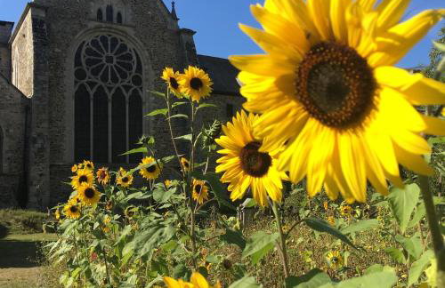Quai du Val is a Charming Pet and Family Friendly Riverside Gite in Lehon close to Dinan Sleeps 7 - Photo 34
