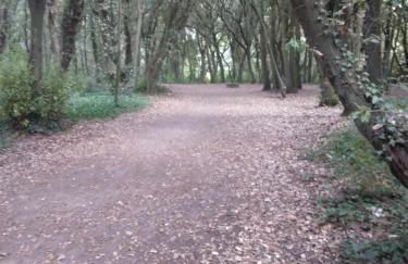 KAEL AR MARTOLED - Foto 33