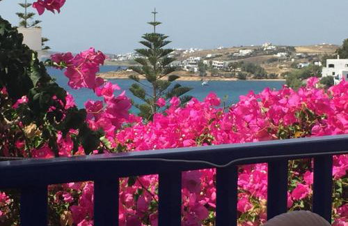 Anna's Studio - Photo 12