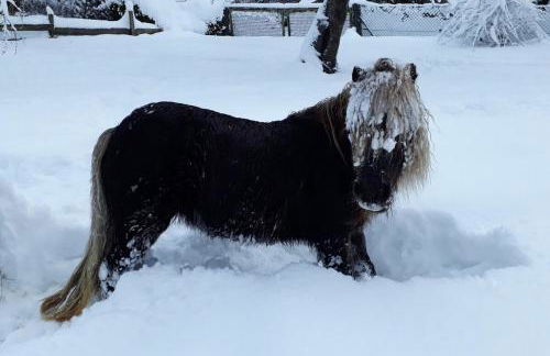 Studio Luise - Foto 21