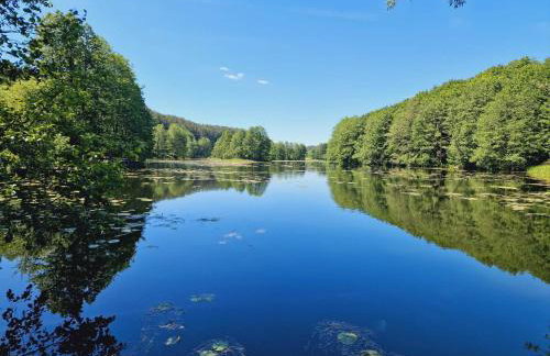 Cisowe Wzgórze - Foto 60