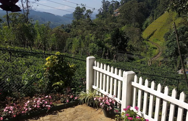 Windsor Forest Bungalow - Photo 32