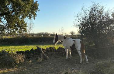 La Casina de Navalcán - Foto 26