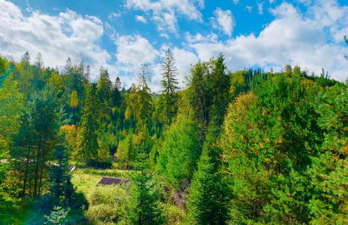 Dom CROCUS z ogrodem w Parku Krajobrazowym - Foto 42