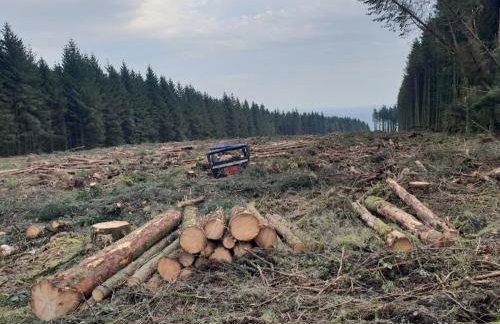 Bracken Cottage - Foto 42