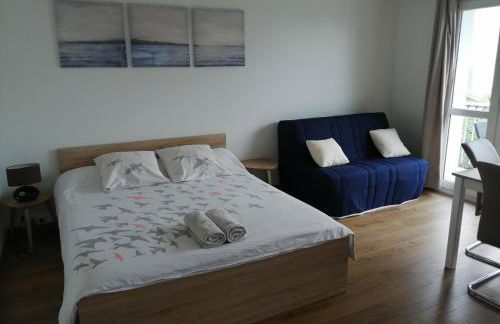 Ravissant studio proche de la Loire - Foto 15