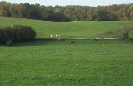 Gite Du Colombier - Foto 43