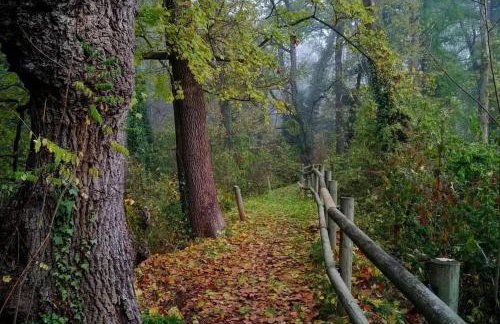 Apartament Bellserrat - Foto 46