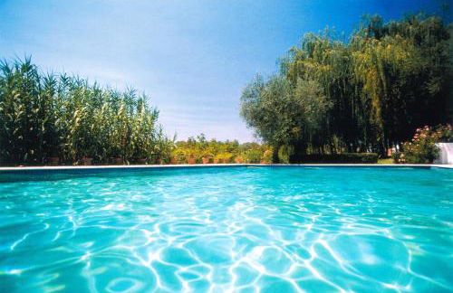 Horta de Torrejais - Foto 26