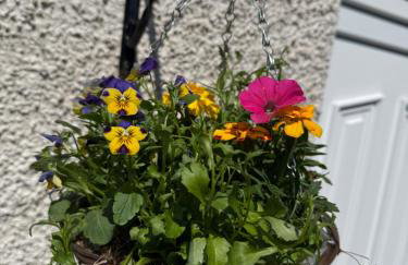 Havelock Hideaway - Foto 30