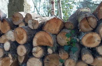 Casa dos ánxeles VUT-OR-1310 - Foto 61