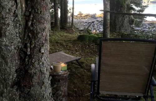 Rustic Cabin Rental for a Secluded Escape to Whale Island, Alaska - Foto 14