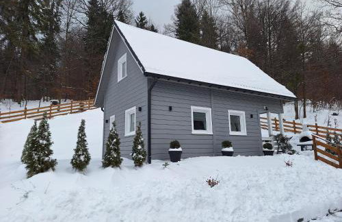 Domki u Sosny - Nowoczesne domki na wyłączność, spokojna okolica blisko lasu i szlaku, 1,2 km od centrum Brennej - Foto 59