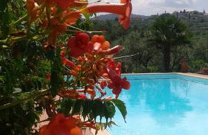 La Vecchia Quercia - Foto 54