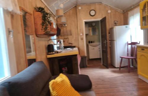 Dom Pod Brzozami Lipinki Bory Tucholskie basen - psy, koty mile widziane! - Photo 23