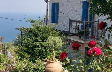 Stone house 1883 Kymi with pool - Photo 17