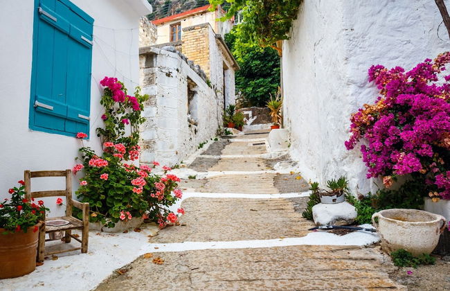 Olive Garden Villa Crete Private Pool - Photo 39