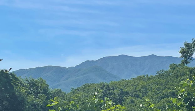 Bears Repeating by Jackson Mountain Rentals - Foto 4, Servicios del alojamiento