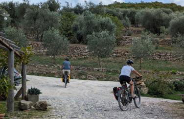 Podere Spedalone - Foto 67