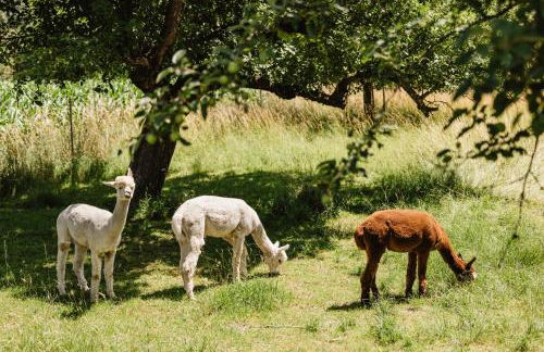 Haus Birgit - Foto 20