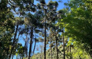 Memora Guesthouse Bateias - Casa Inteira e quartos em chácara - Photo 57