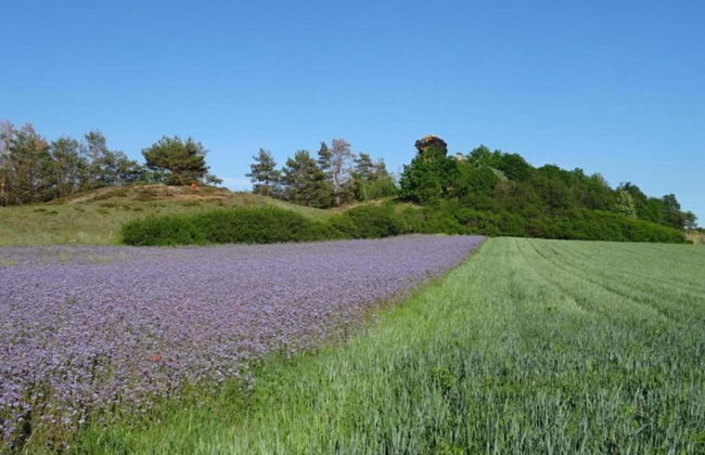 Welcoming Apartment in Meisdorf Near Nightlife - Foto 63