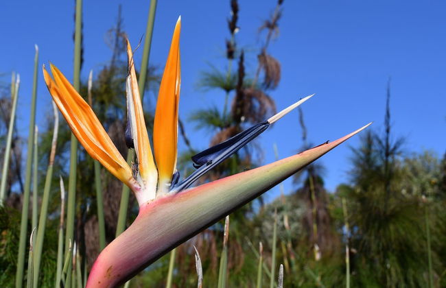 Bradclin @ York Place - Foto 29