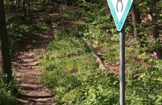 Ferienwohnung Rothirsch - Foto 44