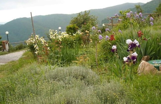 Woodland Escape With Pool - Foto 33