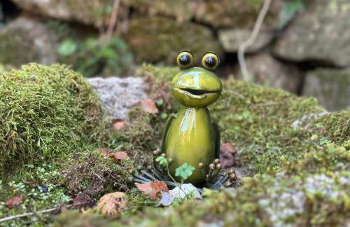 Casa do Bidueiro - Foto 55