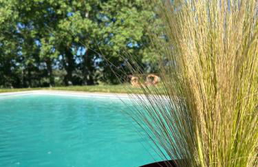 Casa Rural Teja Vieja - Foto 10